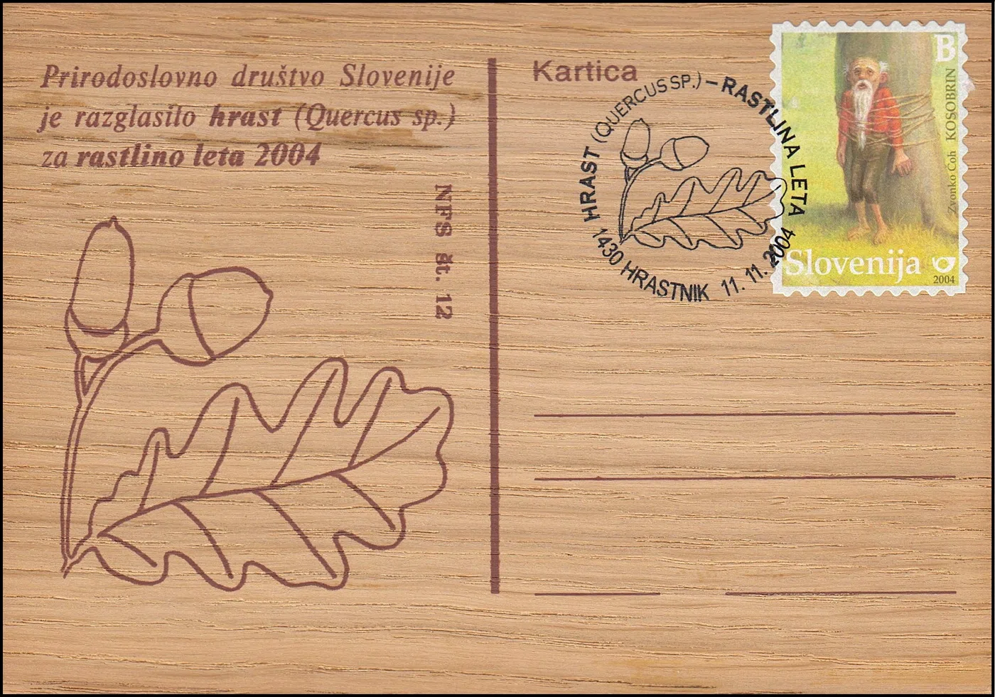 HRAST ( QUERCUS SP. ) - RASTLINA LETA 
